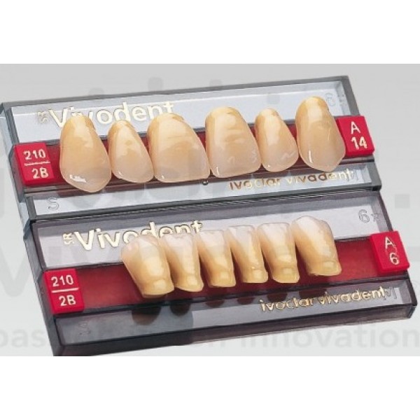 Dientes SR-Vivodent Anterior Sup. A17 A2 6 pzas*